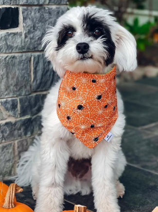 Eskipoo